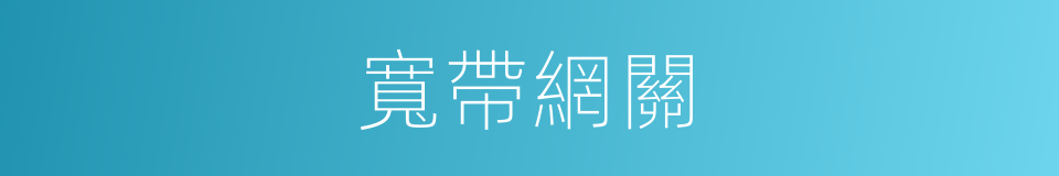 寬帶網關的同義詞