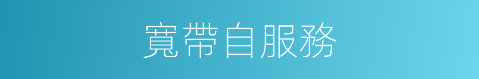 寬帶自服務的同義詞