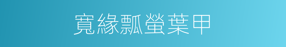 寬緣瓢螢葉甲的同義詞