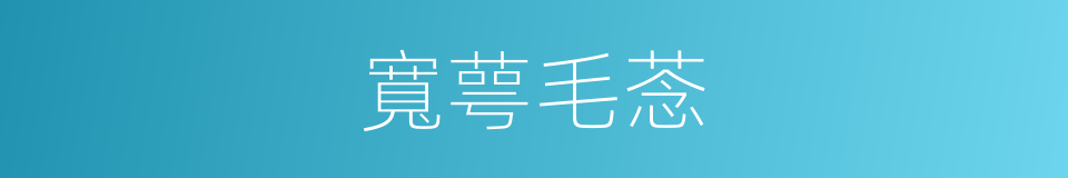 寬萼毛菍的同義詞