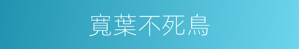 寬葉不死鳥的同義詞