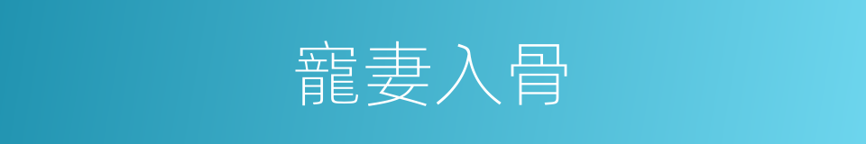 寵妻入骨的同義詞