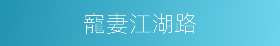 寵妻江湖路的同義詞