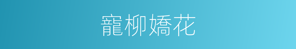 寵柳嬌花的意思