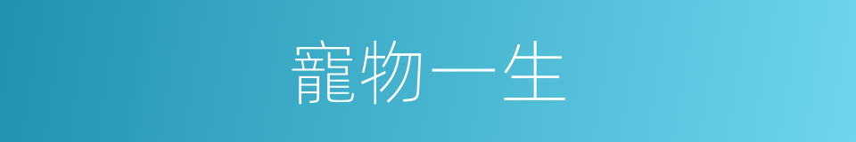 寵物一生的同義詞