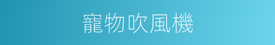 寵物吹風機的同義詞