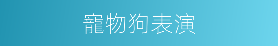 寵物狗表演的同義詞