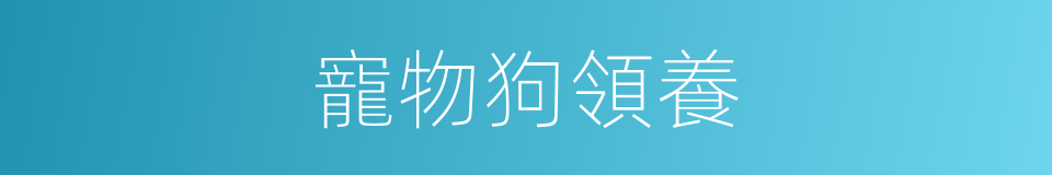 寵物狗領養的同義詞