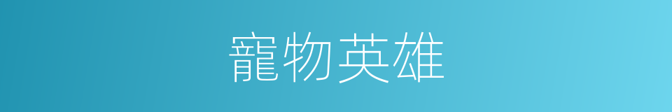 寵物英雄的同義詞