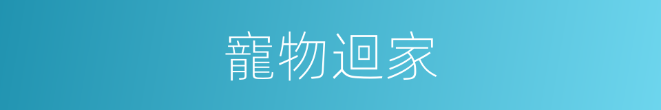 寵物迴家的同義詞