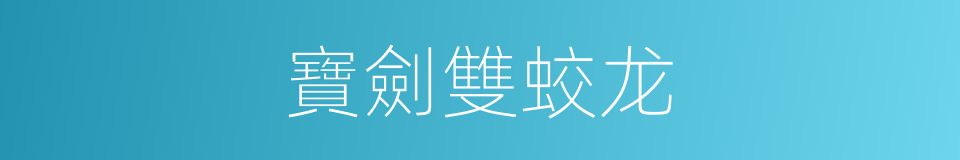 寶劍雙蛟龙的同義詞