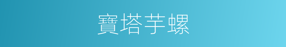 寶塔芋螺的同義詞