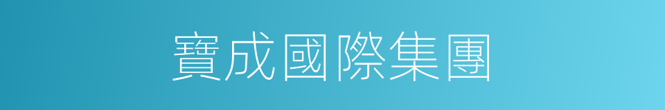寶成國際集團的同義詞