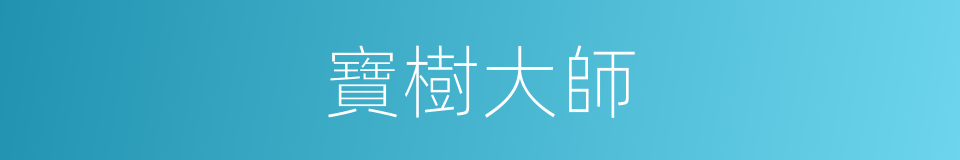 寶樹大師的同義詞