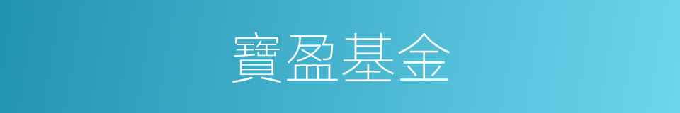 寶盈基金的同義詞