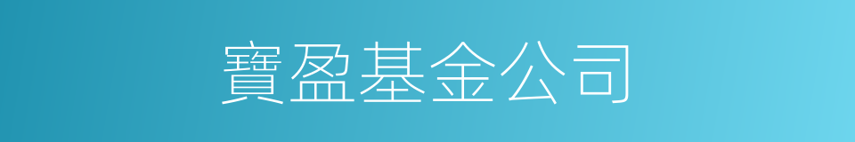 寶盈基金公司的同義詞