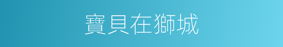 寶貝在獅城的同義詞