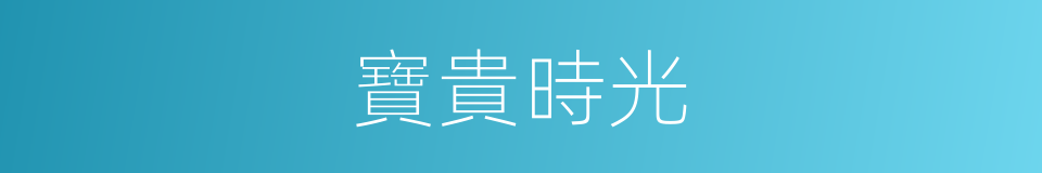 寶貴時光的同義詞