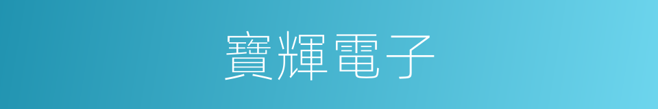 寶輝電子的同義詞