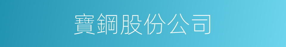 寶鋼股份公司的同義詞
