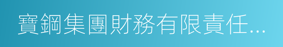 寶鋼集團財務有限責任公司的同義詞