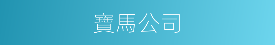 寶馬公司的同義詞