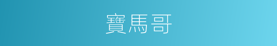 寶馬哥的同義詞