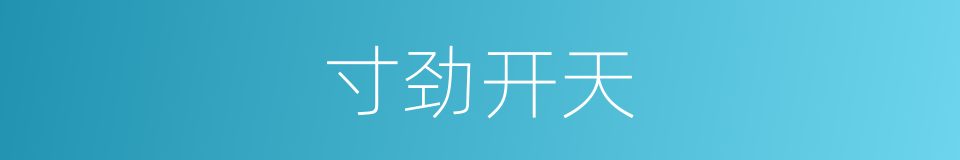 寸劲开天的同义词