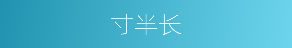 寸半长的同义词