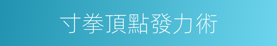 寸拳頂點發力術的同義詞