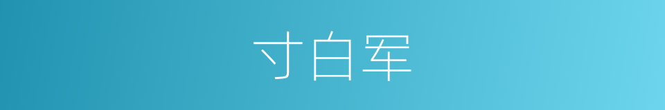寸白军的意思