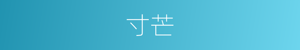 寸芒的同义词