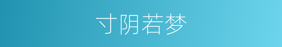 寸阴若梦的同义词