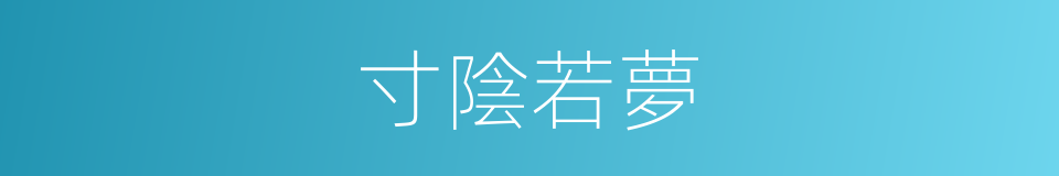 寸陰若夢的同義詞