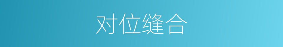 对位缝合的同义词