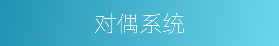 对偶系统的同义词