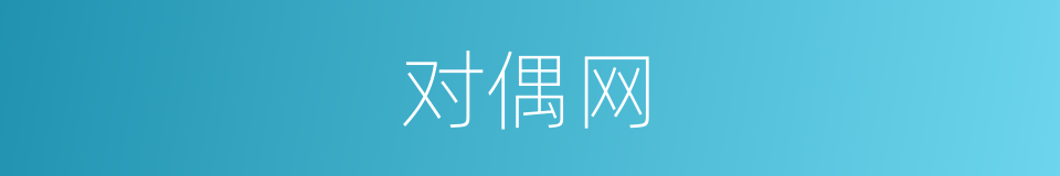 对偶网的同义词