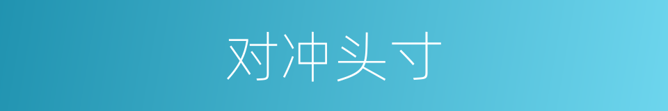 对冲头寸的同义词