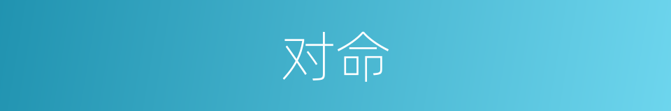 对命的意思
