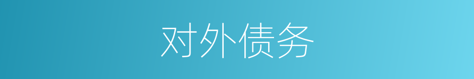 对外债务的同义词