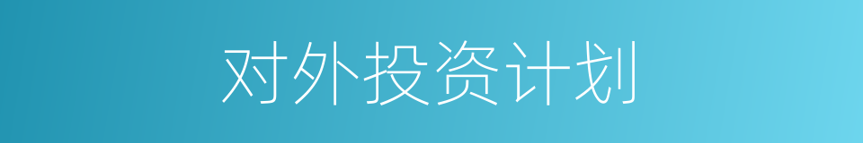 对外投资计划的同义词