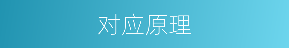 对应原理的同义词