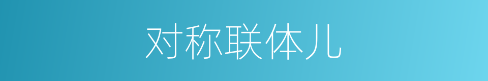 对称联体儿的同义词