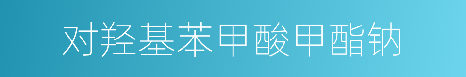 对羟基苯甲酸甲酯钠的同义词