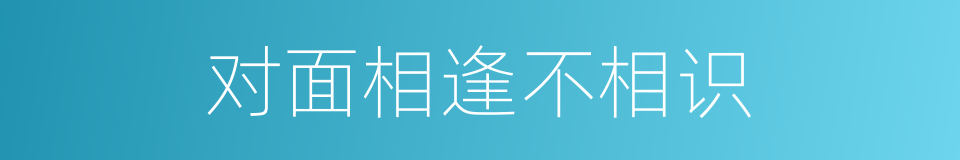 对面相逢不相识的同义词