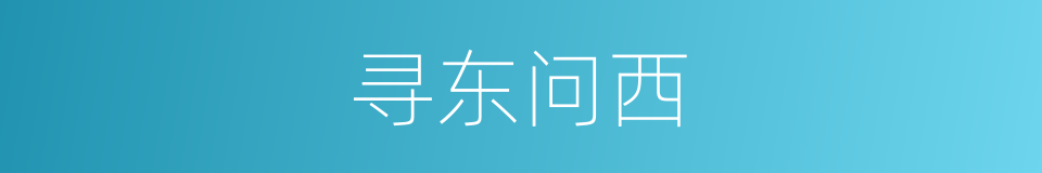 寻东问西的同义词