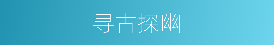 寻古探幽的同义词