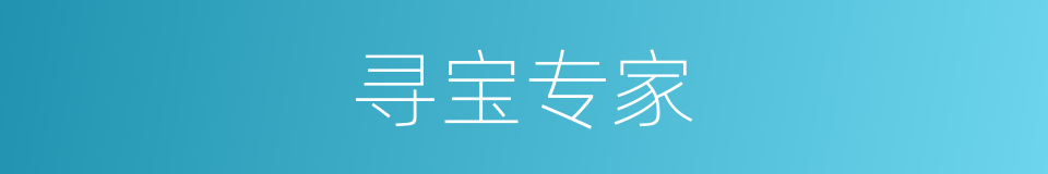 寻宝专家的同义词