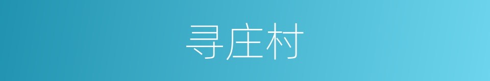 寻庄村的同义词