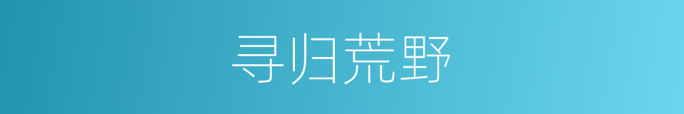 寻归荒野的同义词